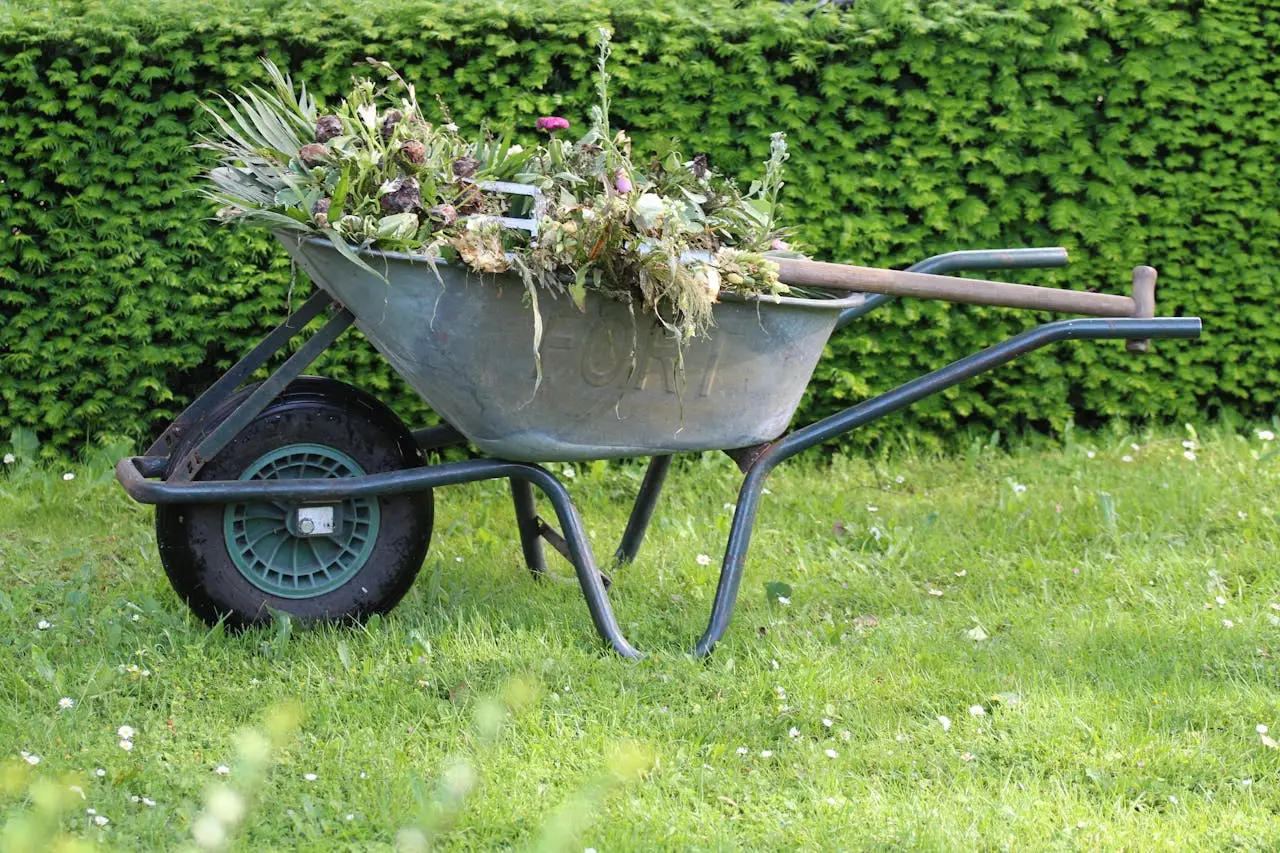 hero-contact Old wheelbarrow filled with garden waste and weeds in a lush green backyard.