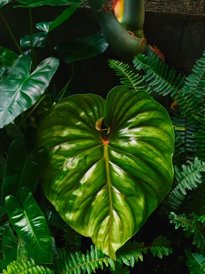 about-01 Vibrant philodendron and fern leaves create a lush, tropical atmosphere.