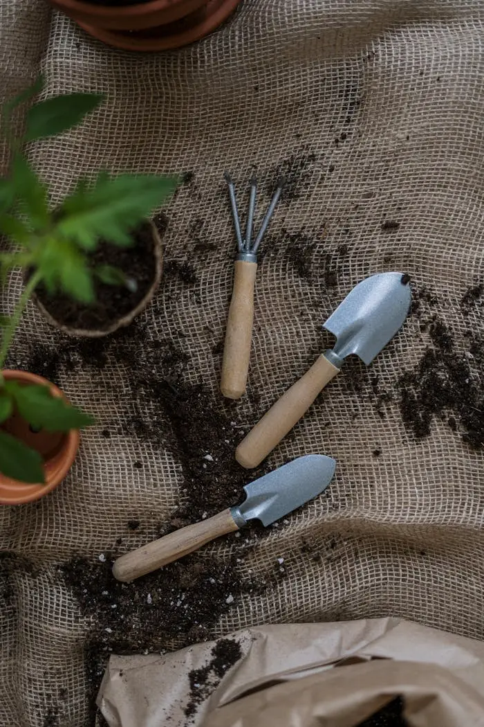 services-02 Gardening tools with potted plants and soil on burlap, perfect for home gardening themes.